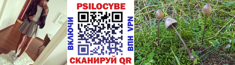 Галлюциногенные грибы MAGIC MUSHROOMS  Иваново 