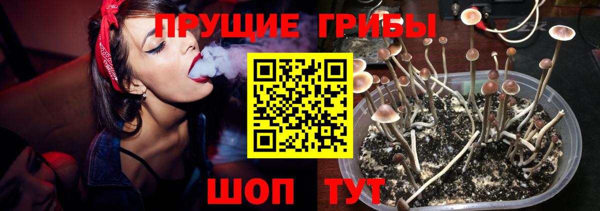 Галлюциногенные грибы прущие грибы  купить наркотики цена  Иваново  Вход с VPN 